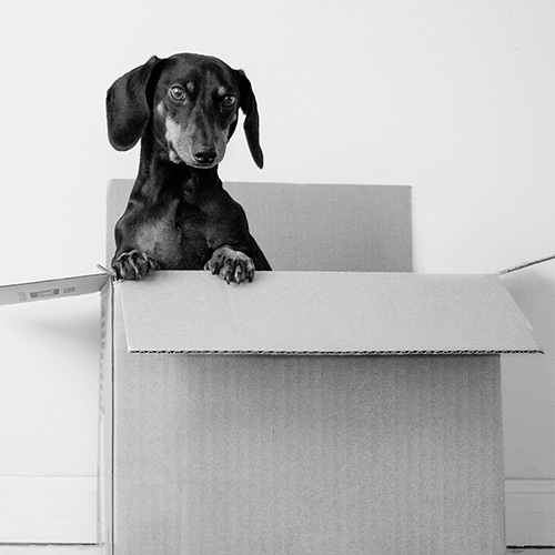 Looking for your first home?
